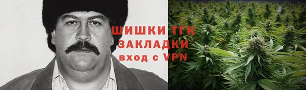 ешки Корсаков