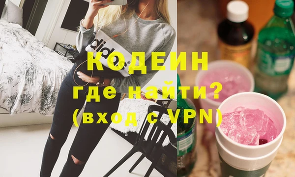 ешки Корсаков