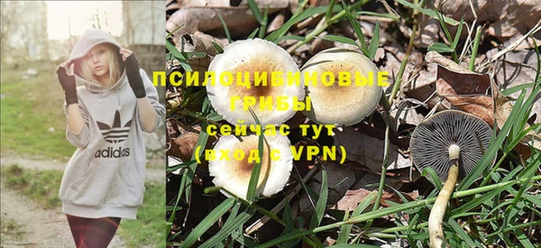 метамфетамин Козельск