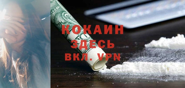 ешки Корсаков